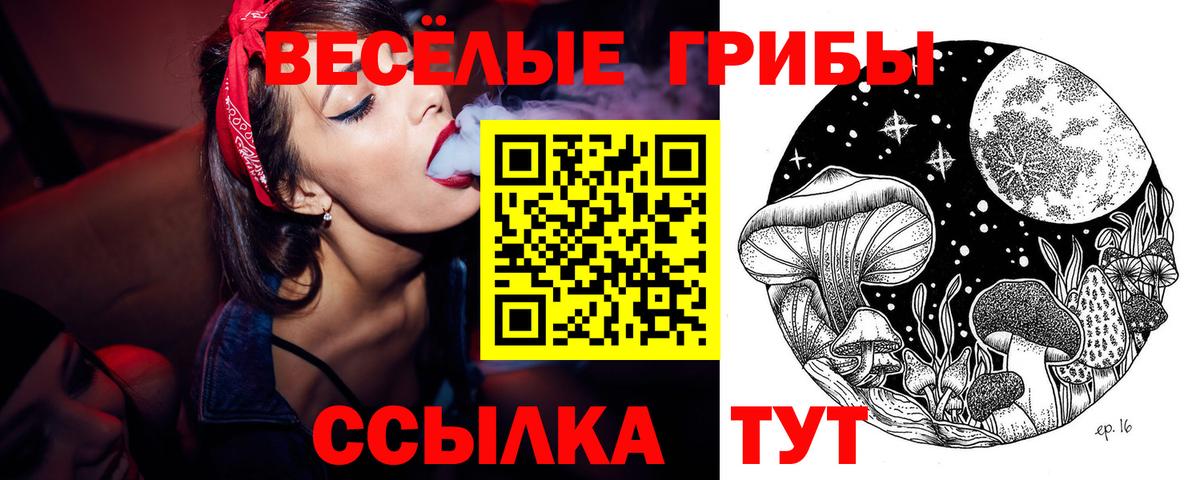 Псилоцибиновые грибы Cubensis Минеральные Воды