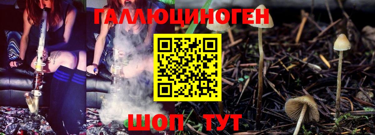 купить наркоту  Псилоцибиновые грибы GOLDEN TEACHER  Вход с VPN  Псилоцибиновые грибы Psilocybe  Минеральные Воды 
